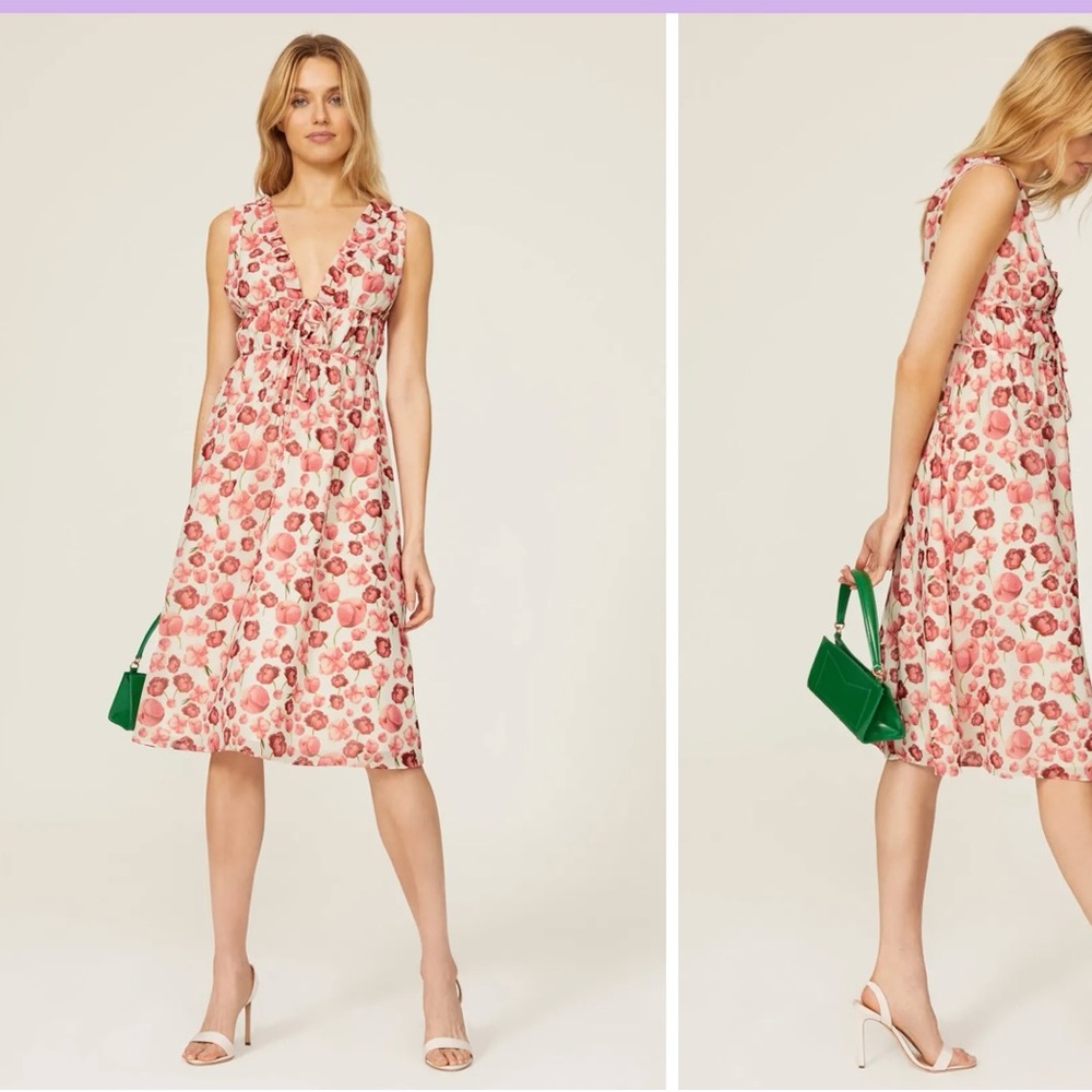 Samantha Sipos Strawberry Floral Dress Size Small